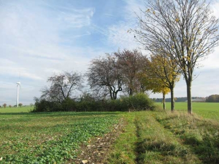 Bild 1 von Hügelgrab bei Dahl